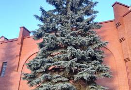 ОК Ватутинки