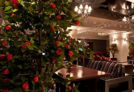 Гостиница Липецк