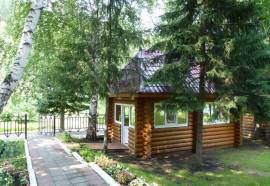 Старые Друзья