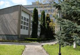 Голубые Ели