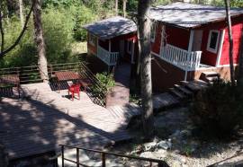 Санаторий Сосновая горка