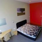 Премиальные туры по России из Новосибирска в лучшие отели 1*, 2*, 3* для 2 взрослых от Travelata на новый год 2025-2026 - Sunpark Hotel