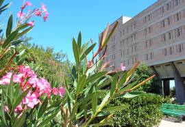 Южнобережный