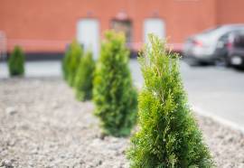 Апарт-отель М97