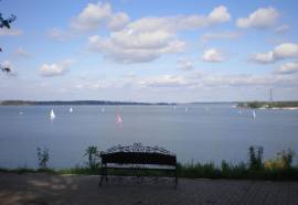 Лесная Сказка