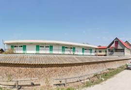 Жемчужина Каламиты