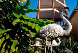 Фламинго отель