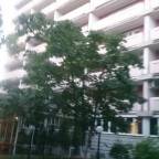 Раннего бронирования туры в Москву России для 2 взрослых от Biblio Globus 2026 - Москвич