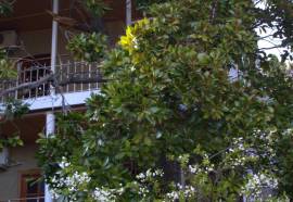 Гостевой дом Radmir