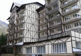 Снежный Барс